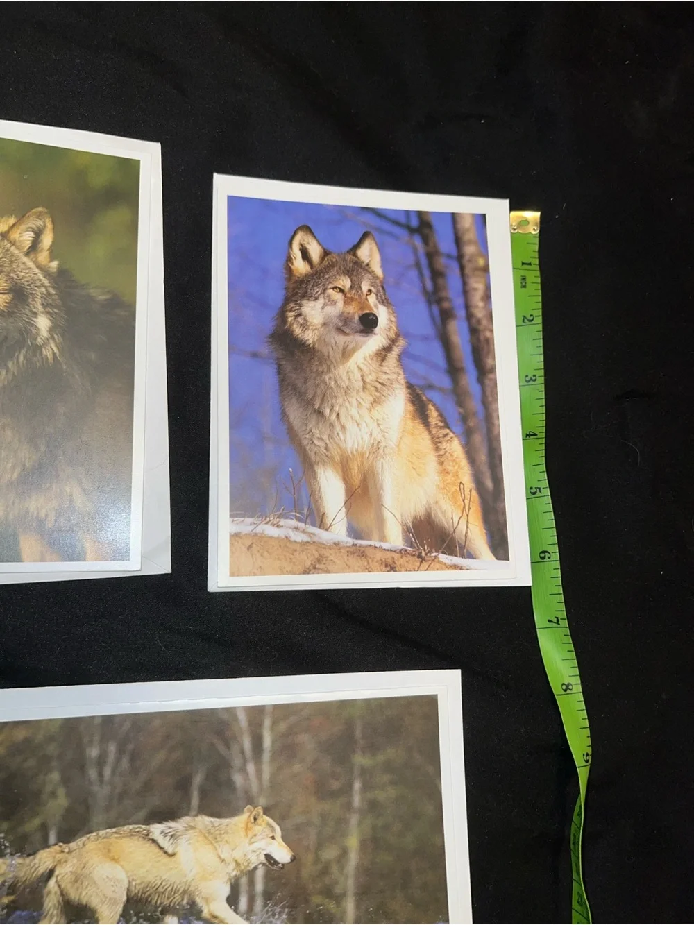 Wolf Greeting Card Bundle